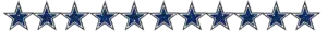 Dallas Cowboys Divider
