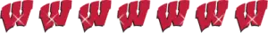 University Wisconsin Badgers