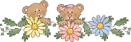 cute bears