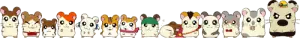 hamtaro