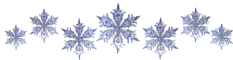 Crystal Snowflakes Divider