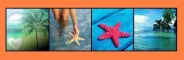 Summer Icons