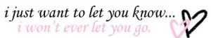 I won't ever let you go<3