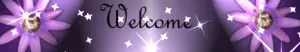 Welcome