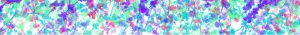 Colorful Divider