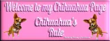 Welcome to my Chihuahua page