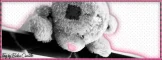 Lonely bear