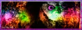 Fantasy Owl