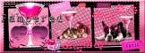 pampered