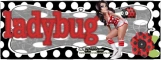 ladybugs