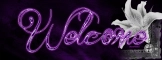 Facebook Timeline-Welcome