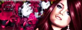 Lipstick Rose Timeline Cover for Facebook