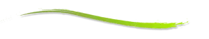 Green divider