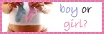 boy or girl?