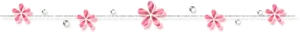flower divider