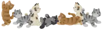 cats