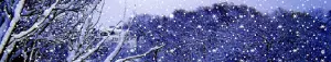 Winter Extended Network