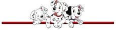 Dalmation Red Line