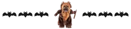 ewok dog